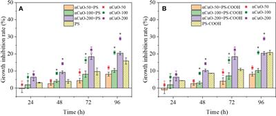 Polystyrene nanoplastics alleviate the toxicity of CuO nanoparticles to the marine algae Platymonas helgolandica var. tsingtaoensis